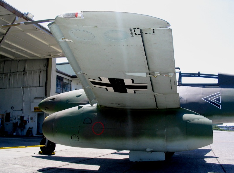 underside of wing