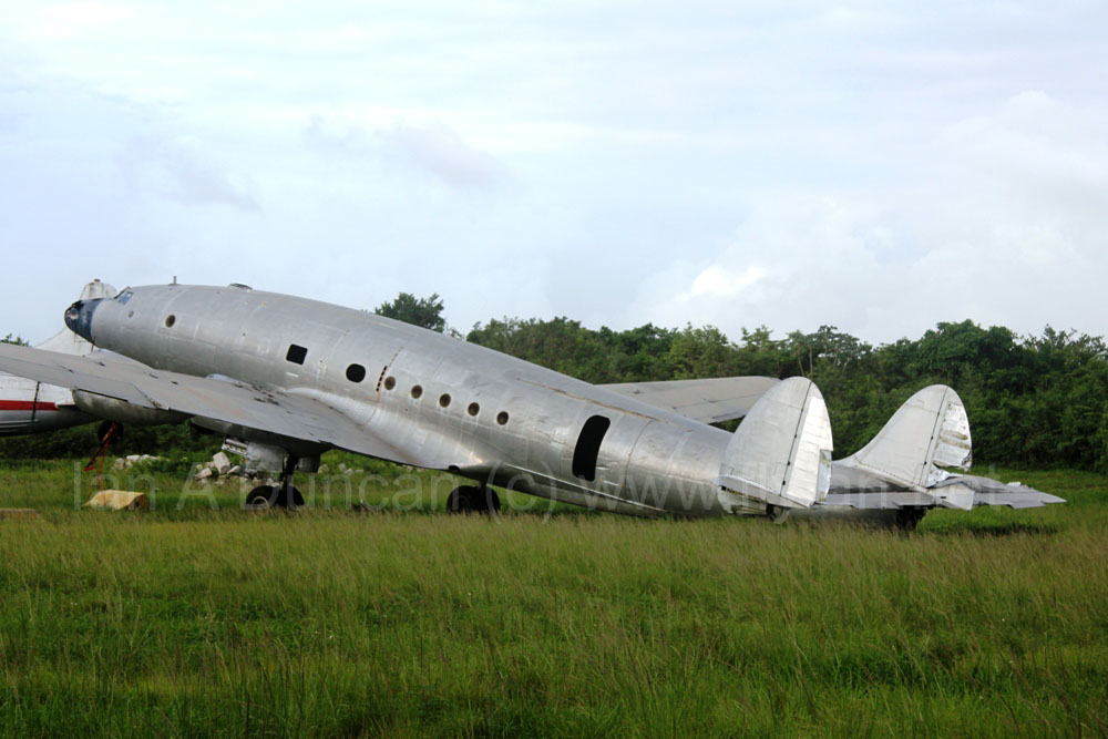 Connie quarter rear view