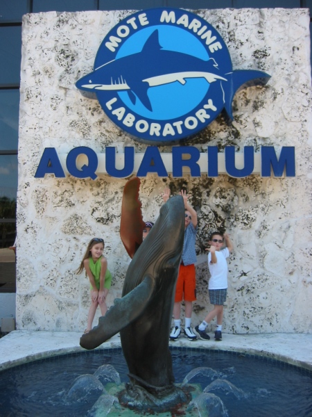 Mote Aquarium