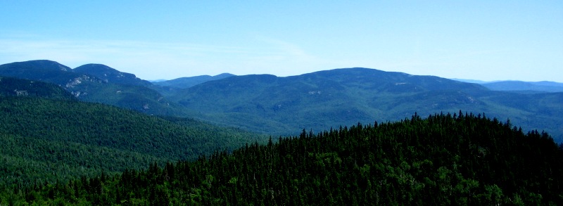Sleeping giant