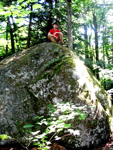 Jay on rock