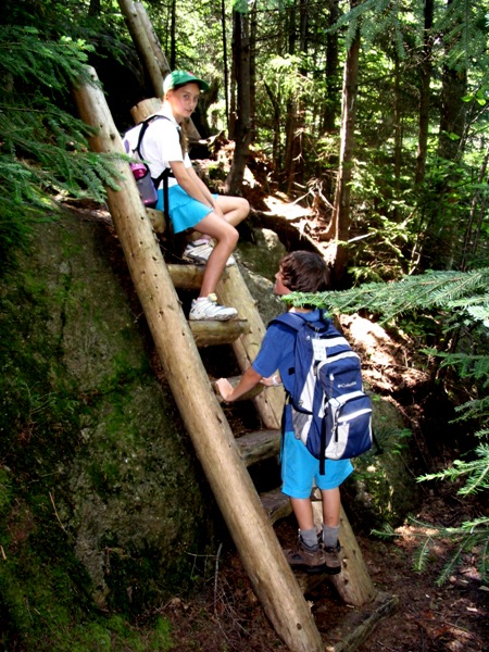 RMC ladder