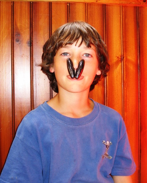 Magnetic Josh