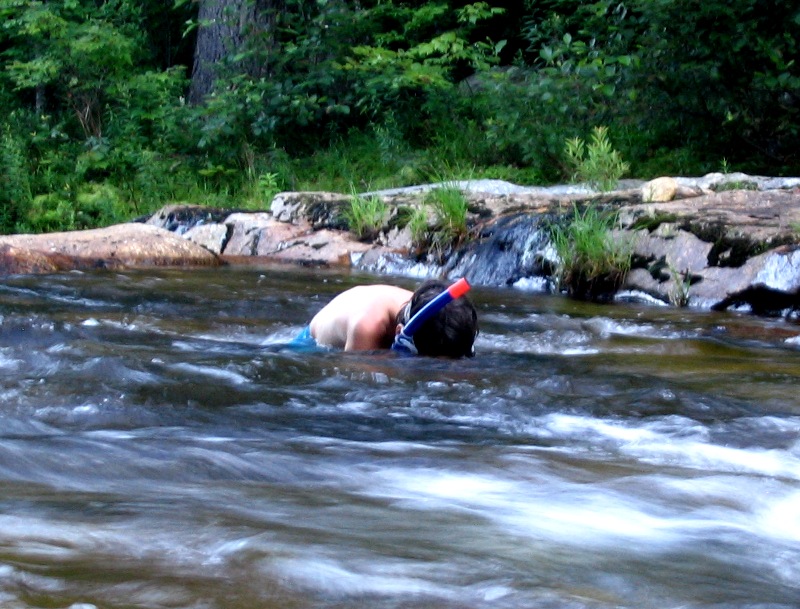 Josh snorkeling
