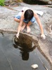 sh catching tadpoles