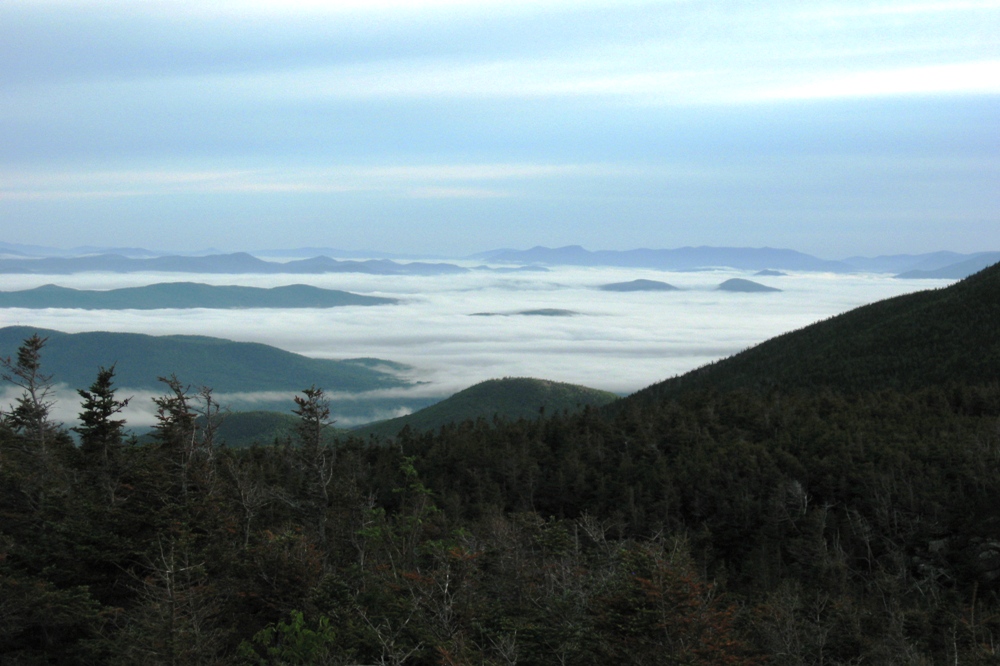 Morning fog