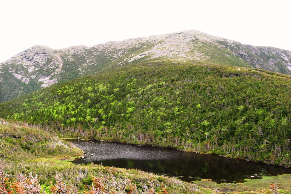 Mt Lafayette