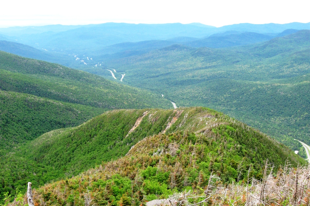 Agony Ridge