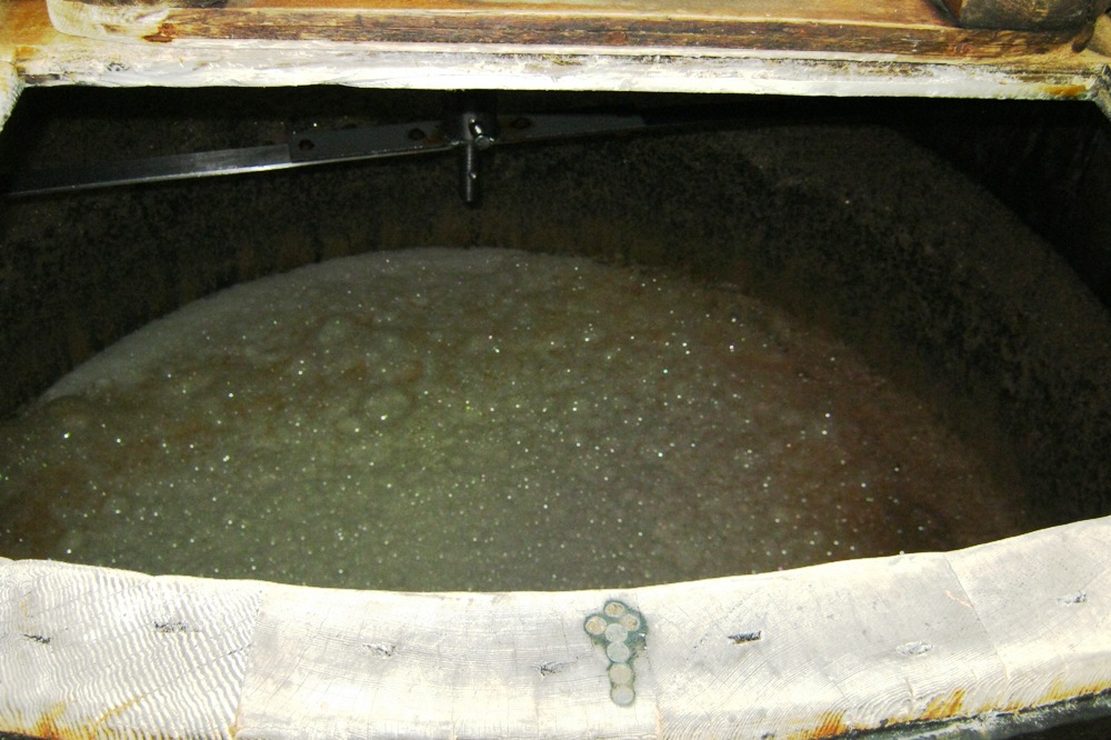 inside fermenter