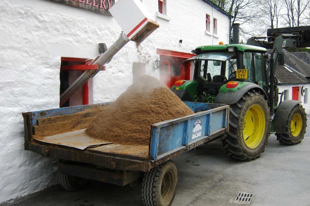 spent grain