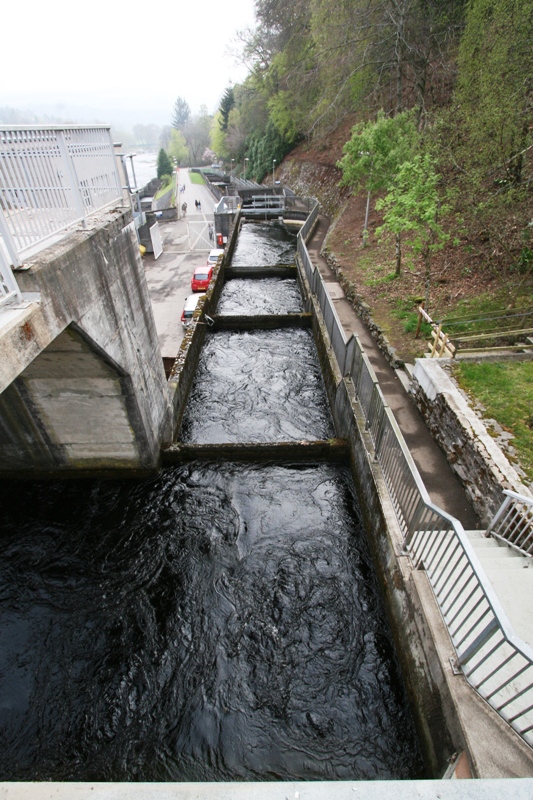 Fish ladder