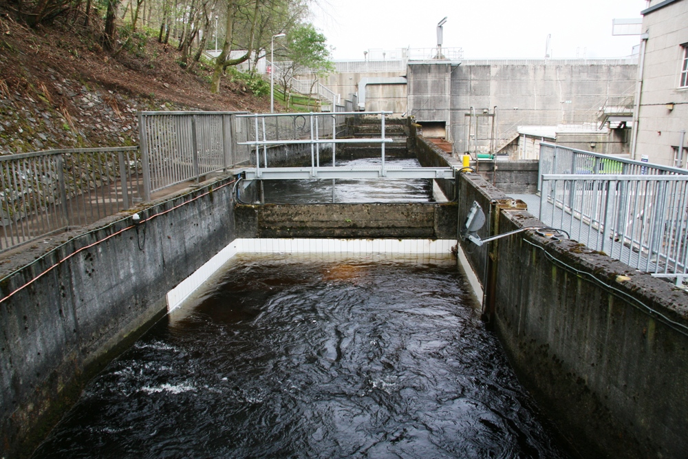 Fish ladder
