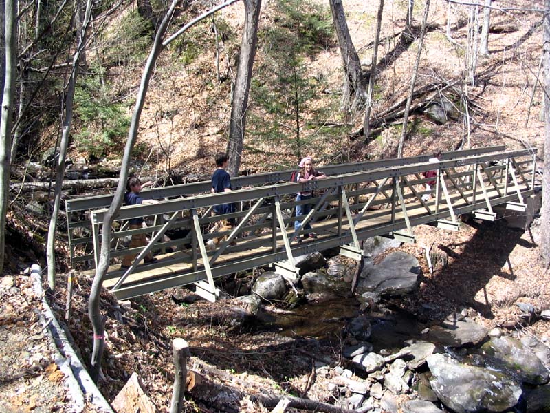 Pedestrian bridge