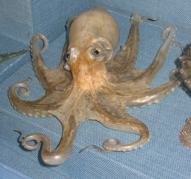 Glass Octopus