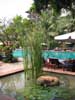 Pool Garden