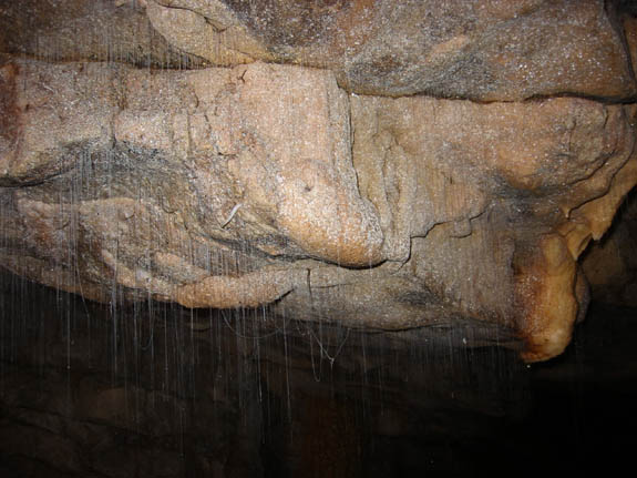 Cave Entrance