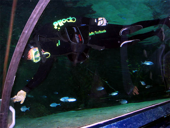 Diver in tank