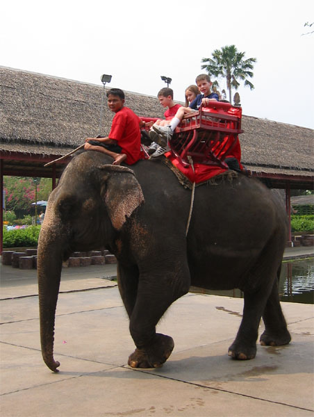 Jay, Amanda and Josh on an Elephant
