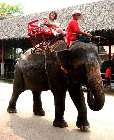 Pam and Scott on an Elephant