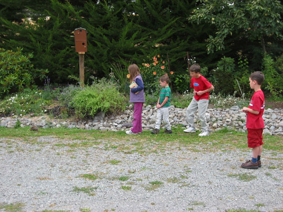 Kid's following hedgehog