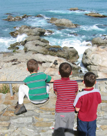 Seals & Kids