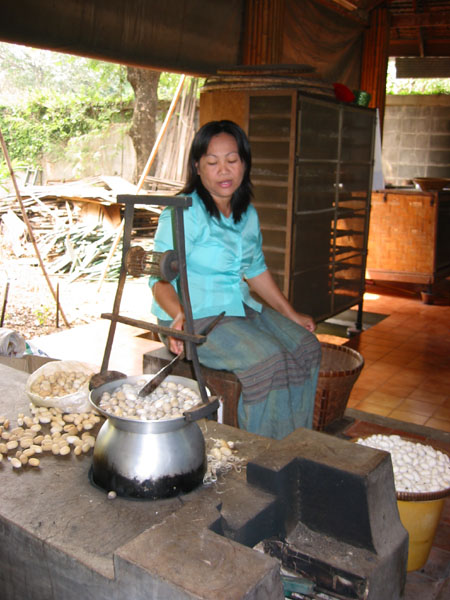 Silk Maker