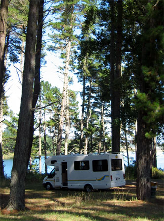 Campervan in trees