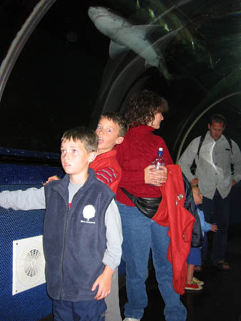 Kids in tube