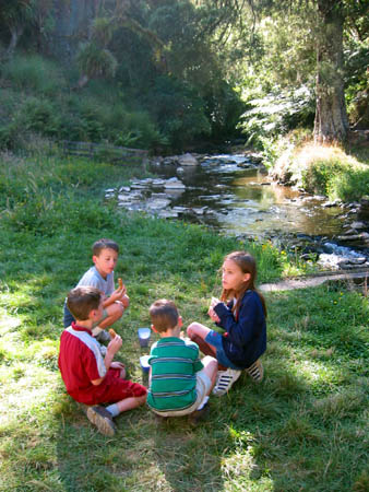 Kids picnic