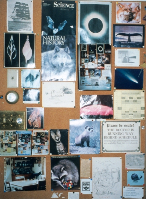 1995
