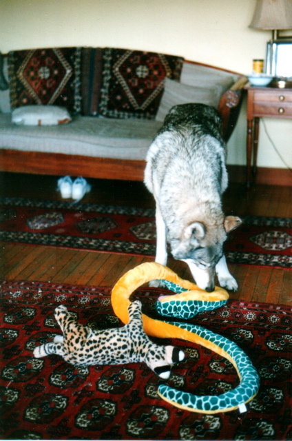 Fenrir attacking snake