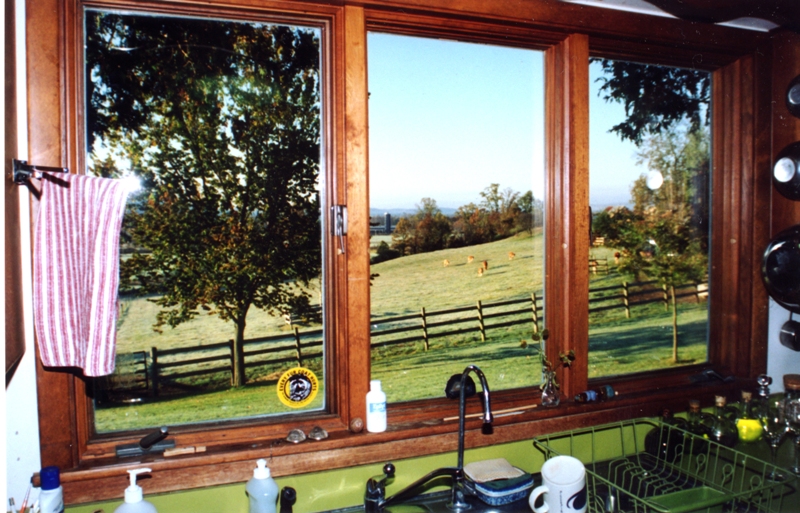 Kitchen window
