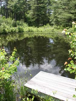 bait pond