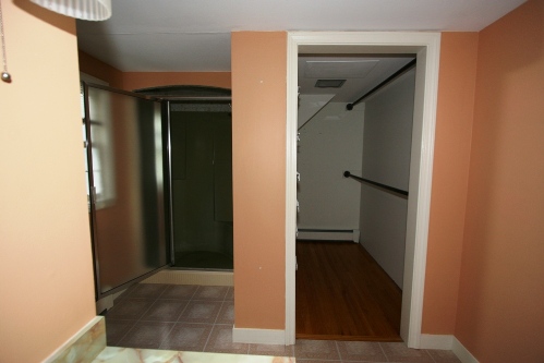 Master bathroom shower & closet