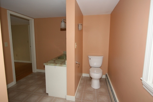 Master bathroom sink & toilet