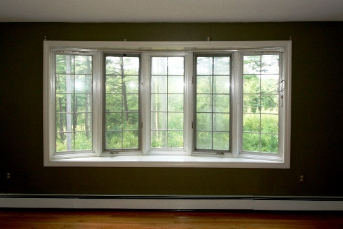 Living room window