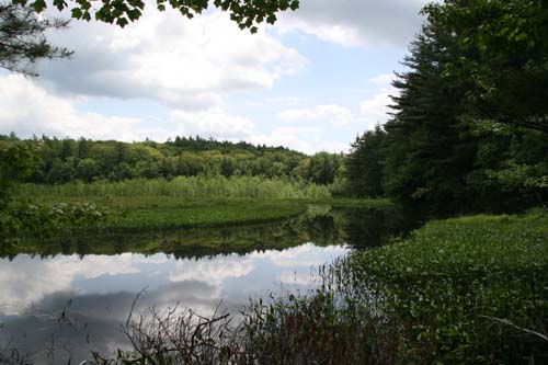 Pond on west side