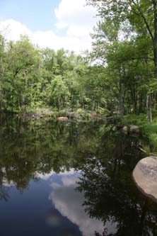 Pond on east side